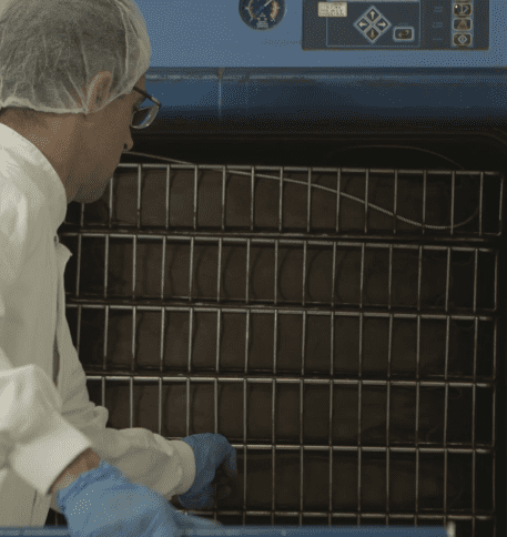 Opérateur en tenue d'hygiène chargeant l'équipement de débactérisation de la vanille.