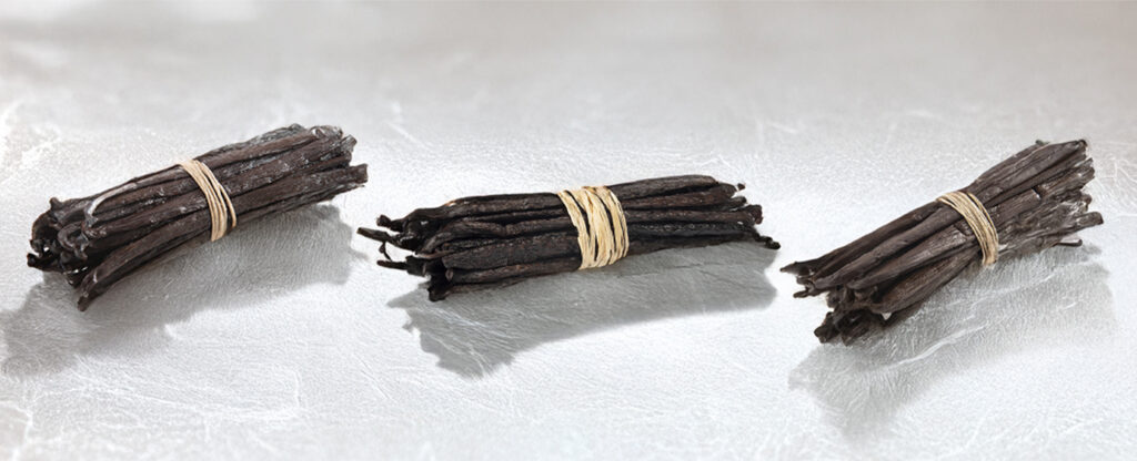 Trois bottes de gousses de vanille côte à côte, représentant les espèces planifolia, pompona et tahitensis.