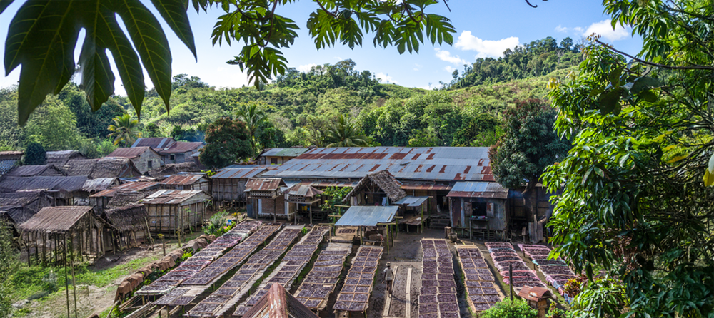 Village partenaire à Madagascar, gousses de vanille séchant au soleil sur des claies.