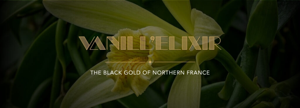Vanill'Elixir banner, "The black gold of Northern France", over a vanilla flower on a dark background.
