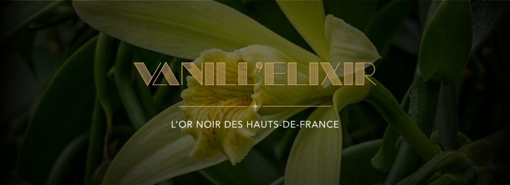 Vanill’Elixir : L’Or Noir des Hauts-de-France