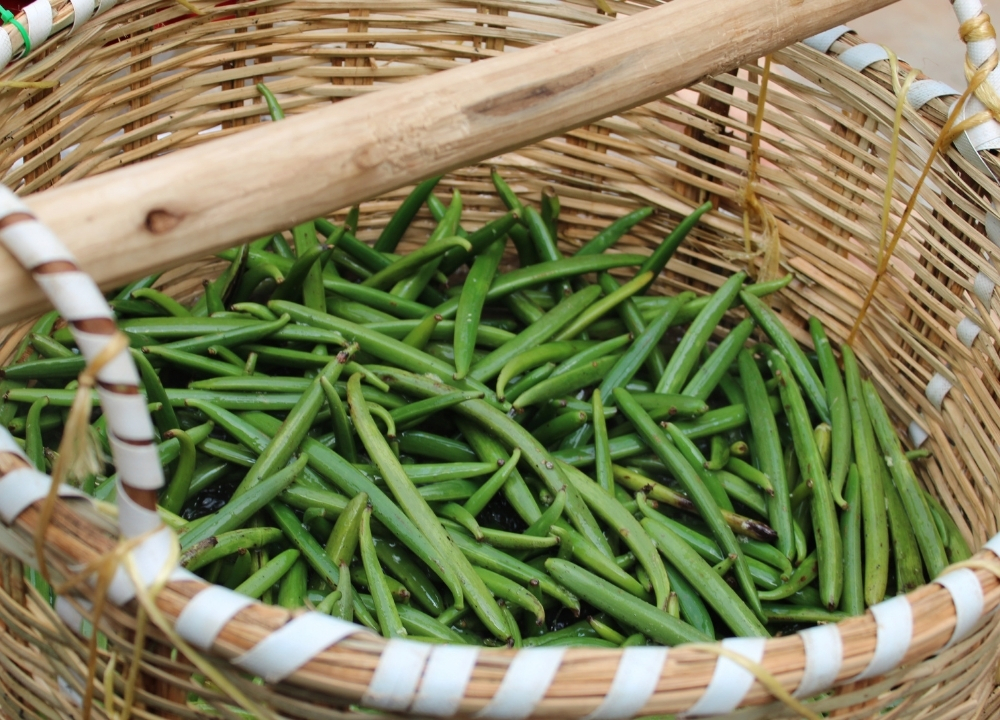 Comment une gousse verte devient aromatique