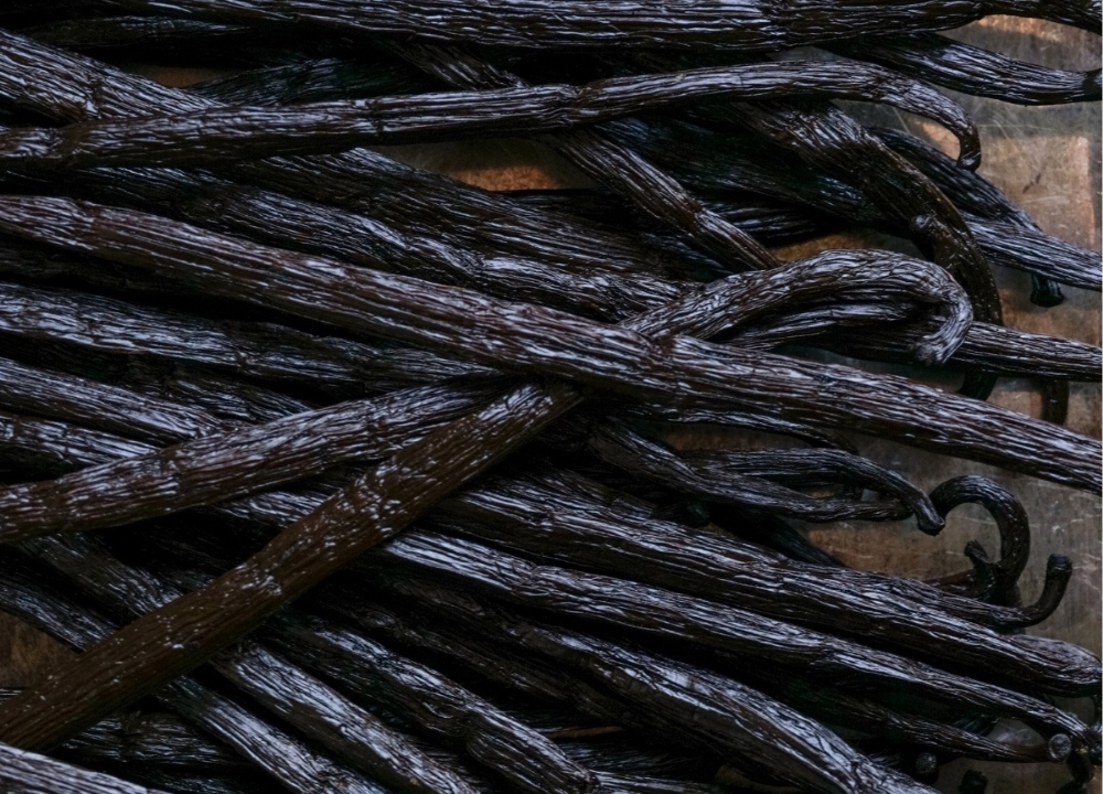 Supple black vanilla beans after curing, close-up.